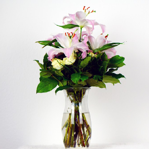 Lorem ipsum dolor sit amet consectuar