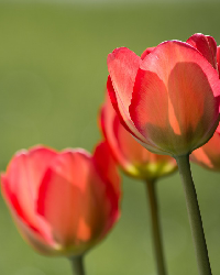 Product Title Goes Here1