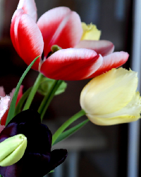 Product Title Goes Here2