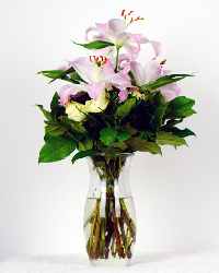 Product Title Goes Here4