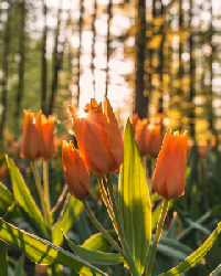 Product Title Goes Here5